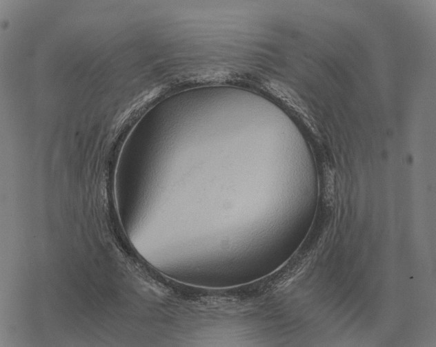 X0000076430681200610271734