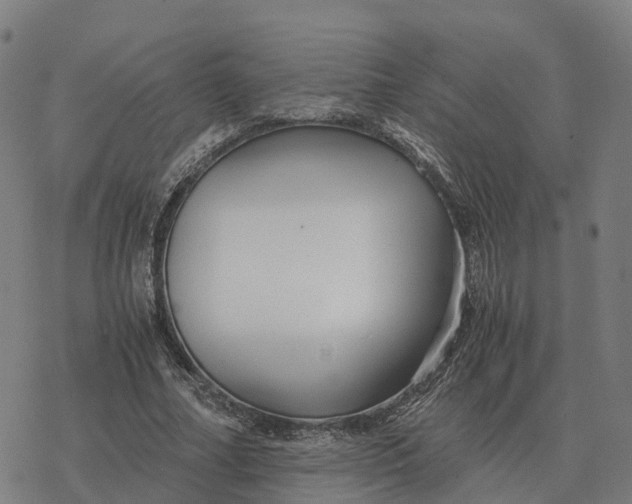 X0000076430682200610271734