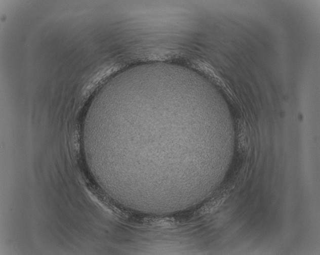 X0000076430683200610271734