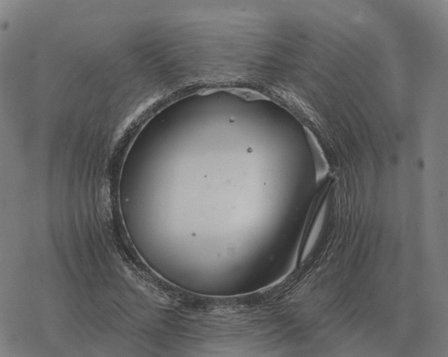 X0000076430684200610271734