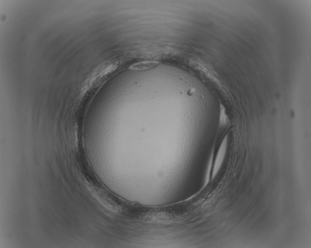 X0000076430685200610271734