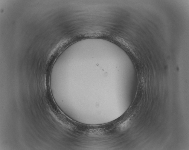 X0000076430686200610271734