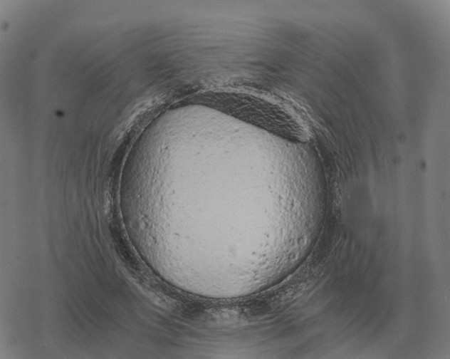 X0000076430687200610271734