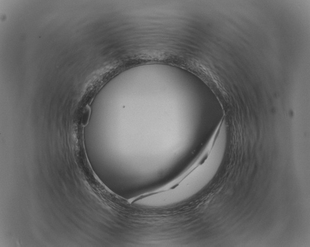 X0000076430688200610271734