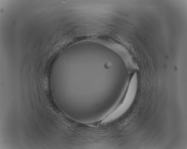 X0000076430689200610271734