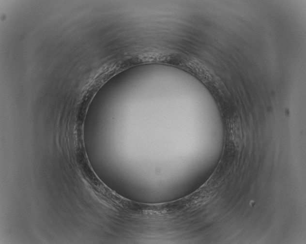 X0000076430690200610271734