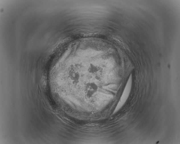 X0000076430691200610271734