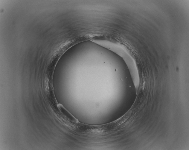 X0000076430692200610271734