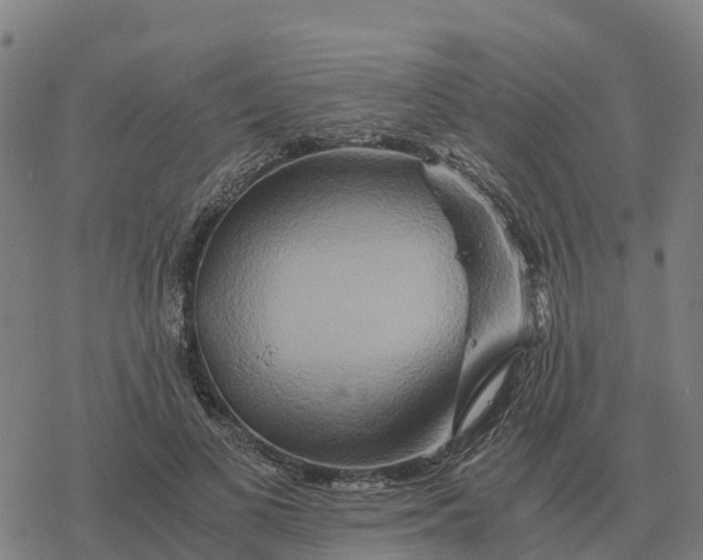 X0000076430693200610271734