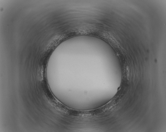 X0000076430694200610271733