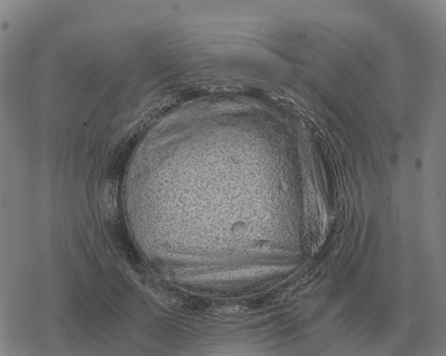 X0000076430695200610271733