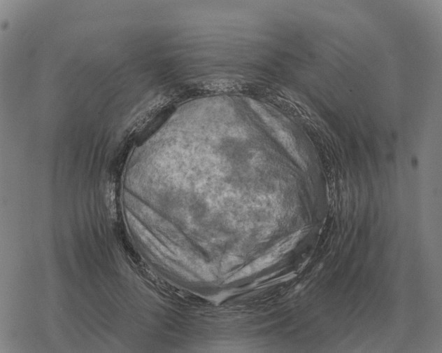 X0000076430696200610271733