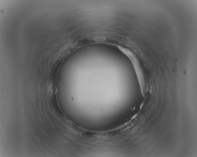 X0000076430697200610271733