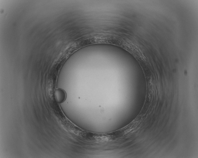 X0000076430698200610271733