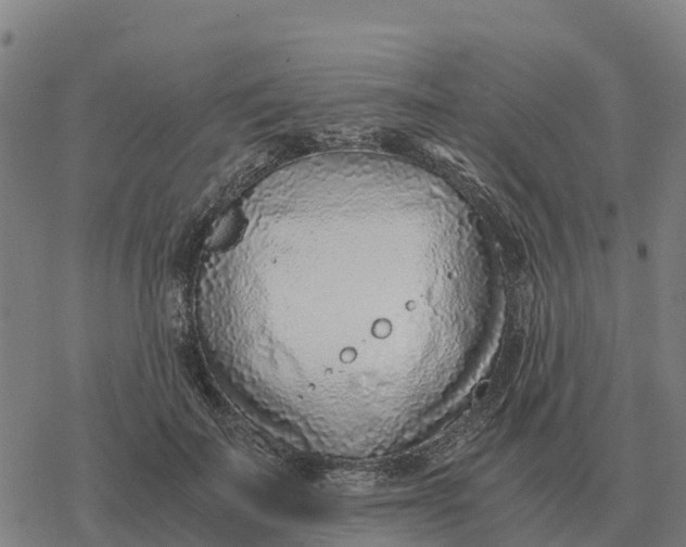 X0000076430699200610271733