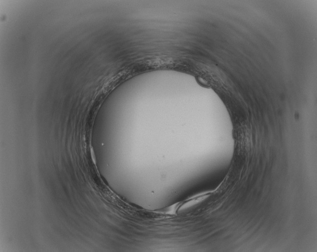 X0000076430700200610271733