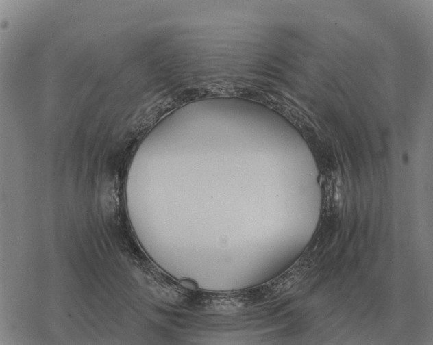 X0000076430702200610271733