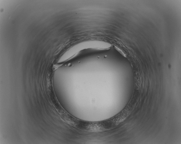 X0000076430704200610271733