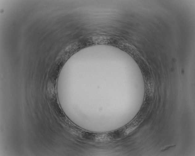 X0000076430705200610271733