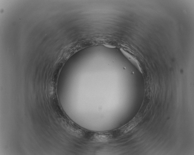 X0000076430706200610271733