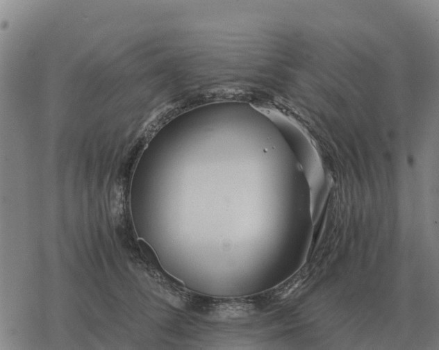 X0000076430708200610271733