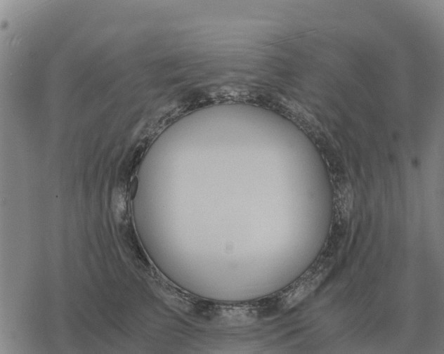 X0000076430709200610271733