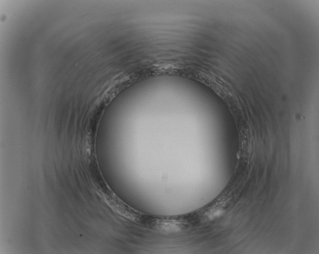 X0000076430710200610271733