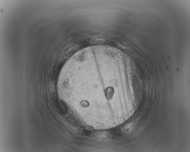 X0000076430711200610271733