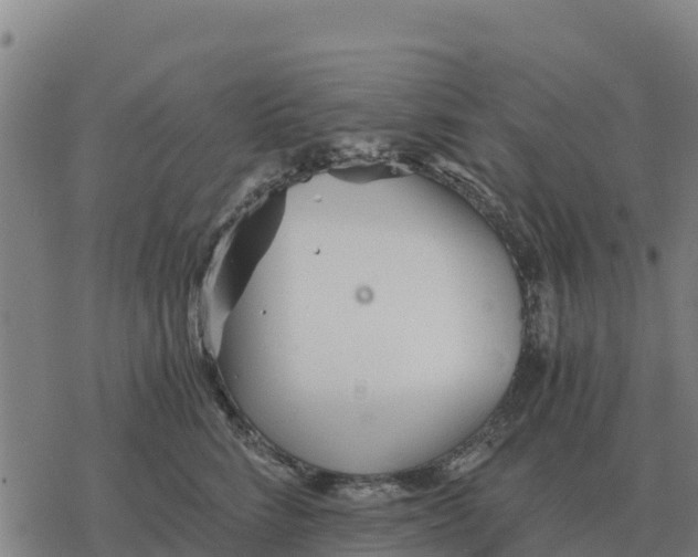 X0000076430712200610271733