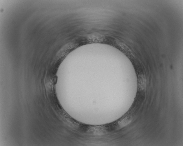 X0000076430713200610271733