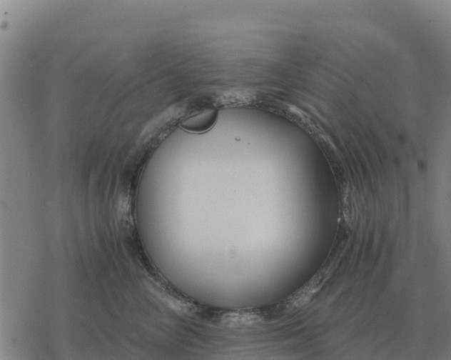 X0000076430714200610271733