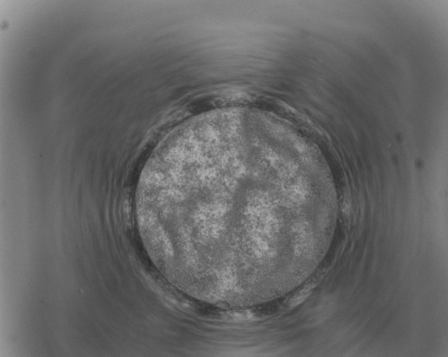 X0000076430715200610271733