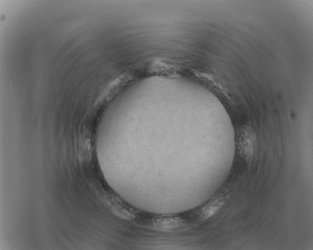 X0000076430716200610271733