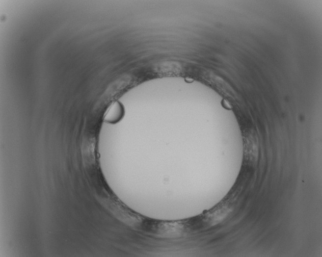 X0000076430717200610271733