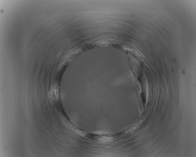 X0000076430718200610271733