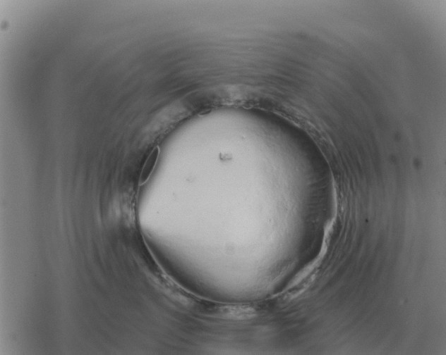 X0000076430719200610271733