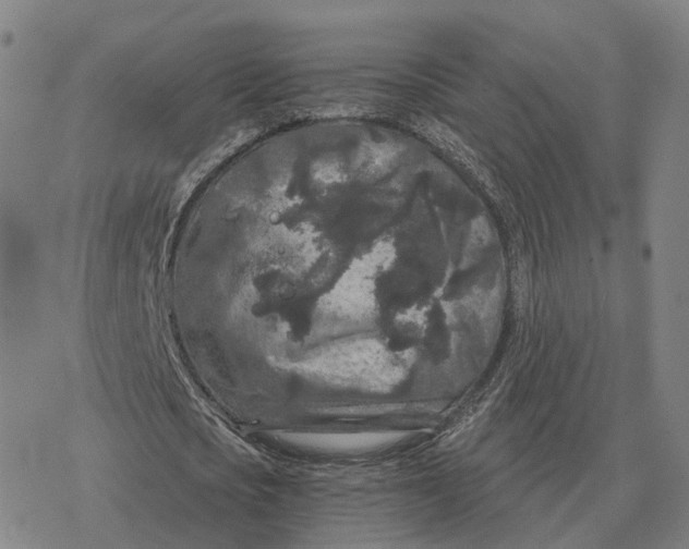 X0000076430721200610271732