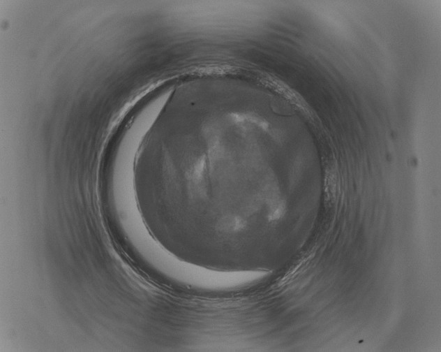 X0000076430722200610271732