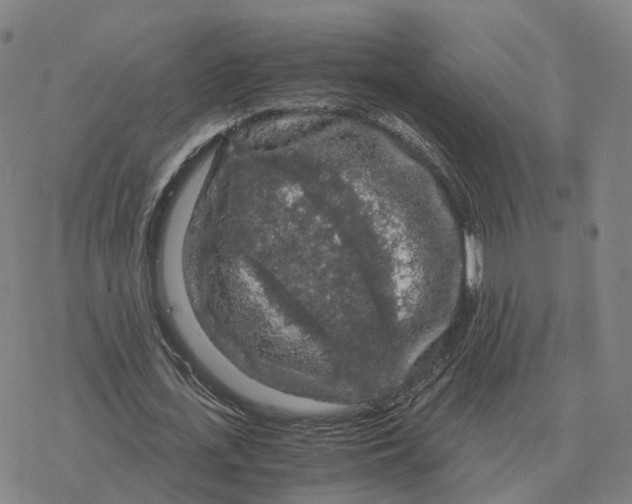 X0000076430723200610271732