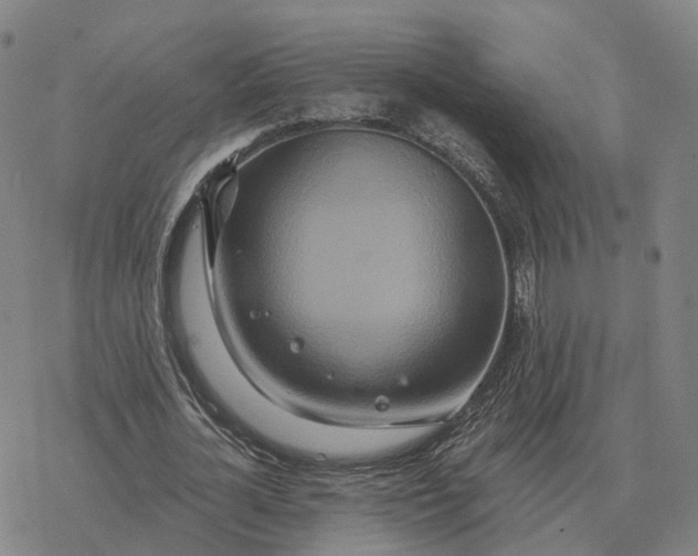 X0000076430724200610271732