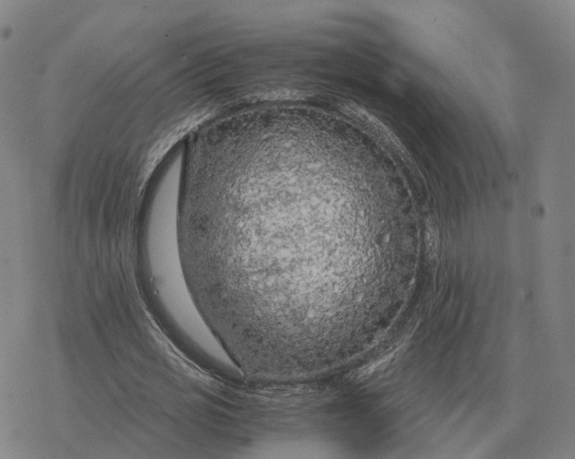 X0000076430725200610271732