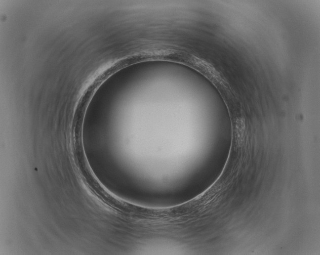 X0000076430726200610271732