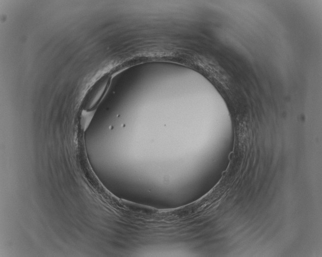 X0000076430727200610271732