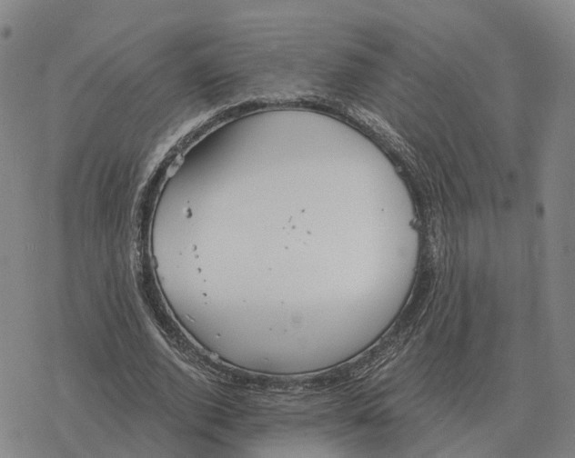 X0000076430728200610271732