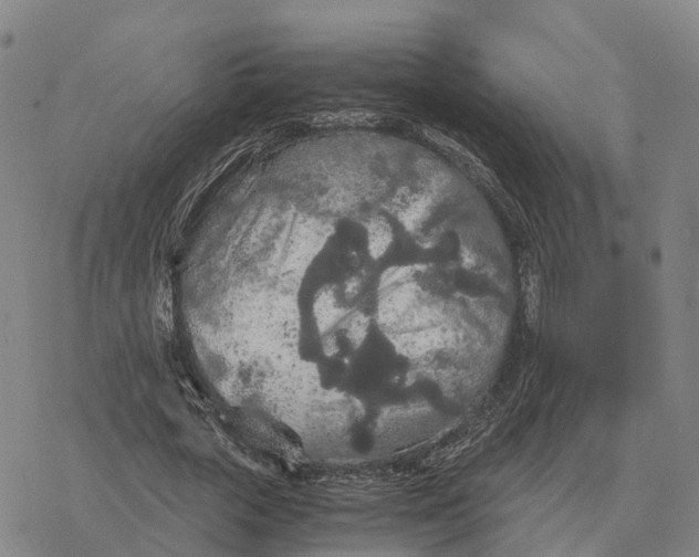 X0000076430729200610271732