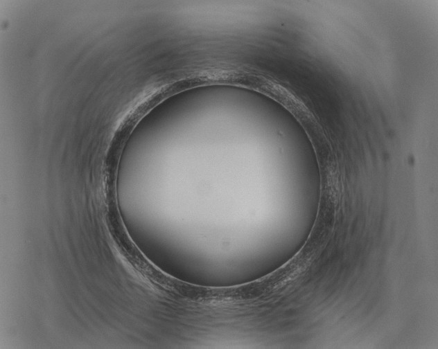 X0000076430730200610271732