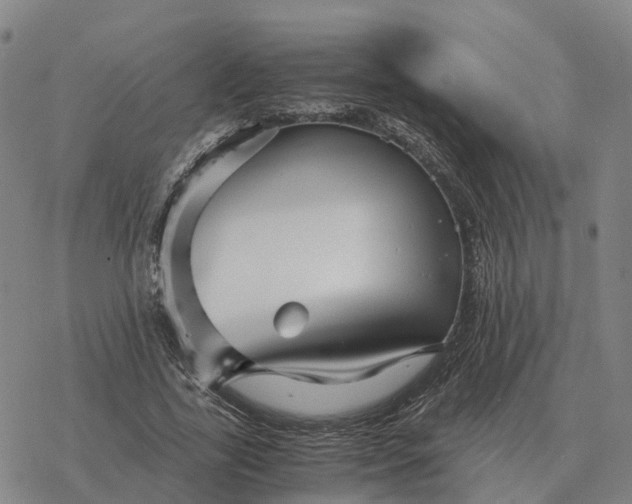 X0000076430731200610271732