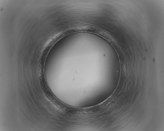 X0000076430732200610271732