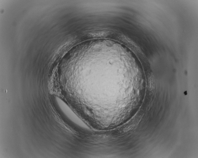 X0000076430733200610271732