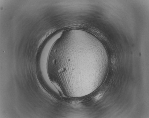 X0000076430734200610271732